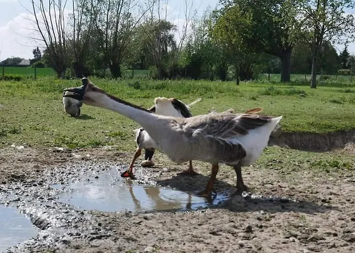 Esprit Loft * Fromelles